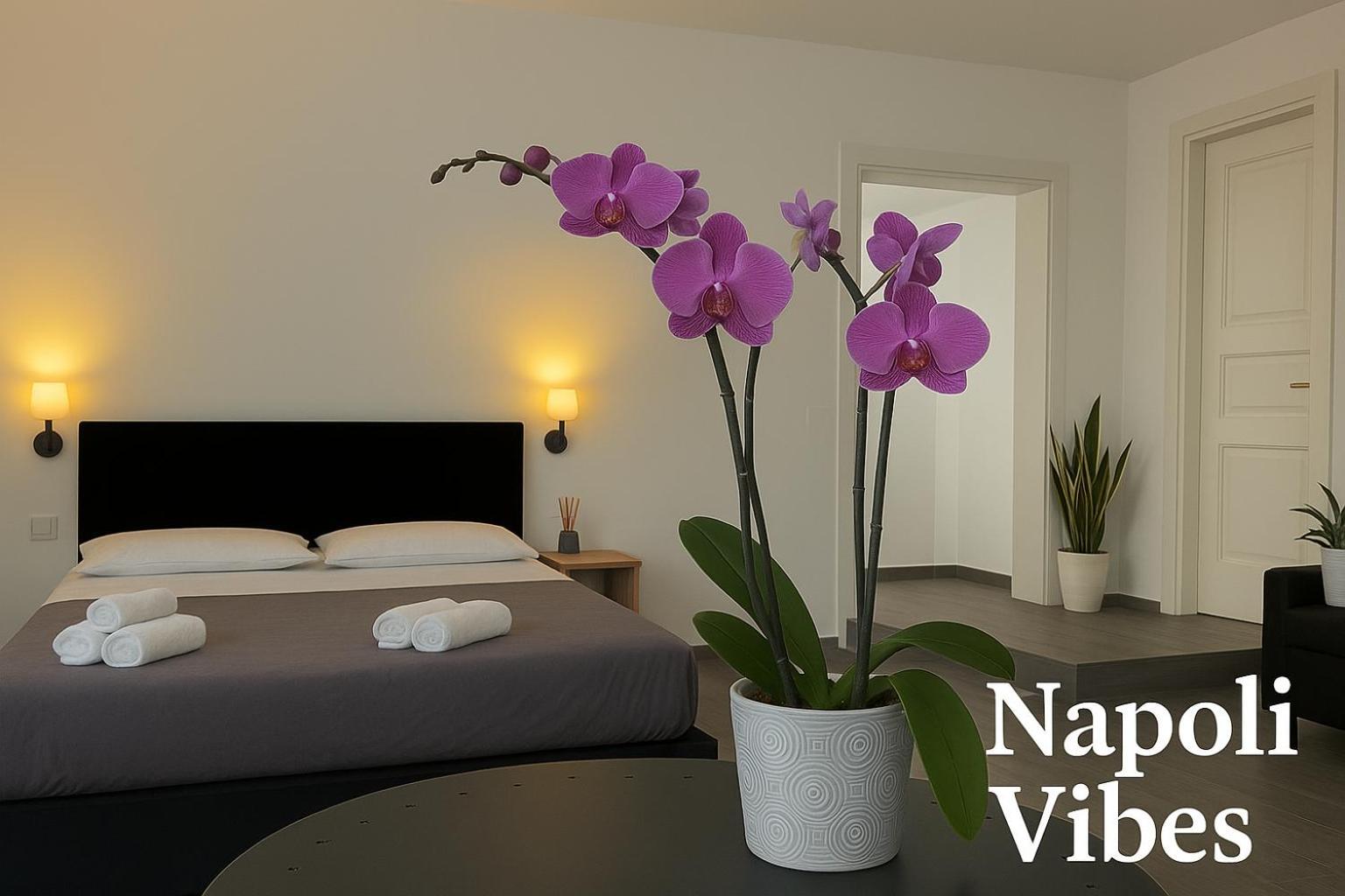 Vibes Guest house Naples