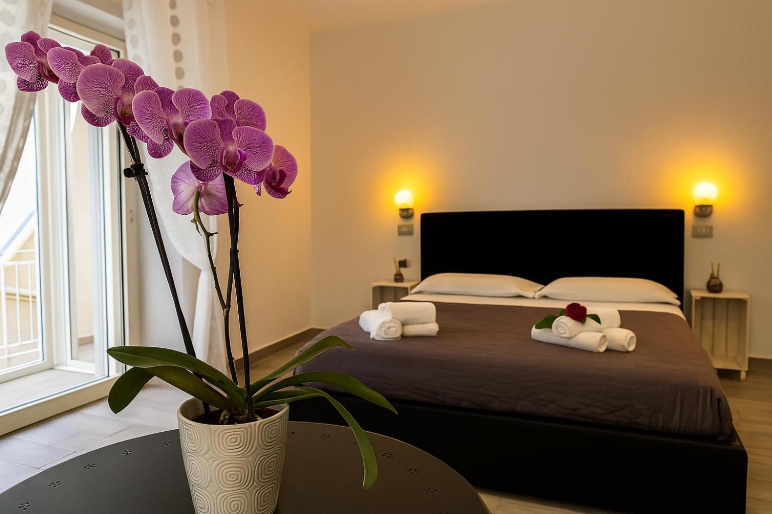 Vibes Guest house